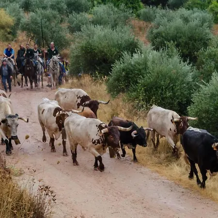 Holiday home Gavilanes *
